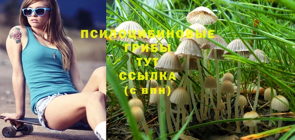 ГАЛЛЮЦИНОГЕННЫЕ ГРИБЫ Бугульма