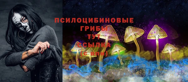 МДМА Бородино