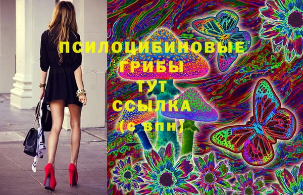 МДМА Бородино
