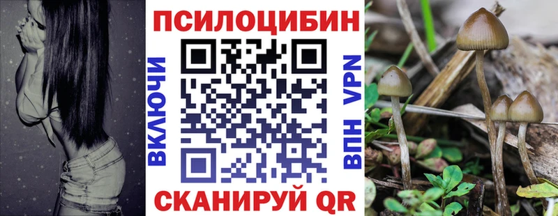 Галлюциногенные грибы GOLDEN TEACHER  наркота  Кингисепп 